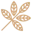 Botanical Intelligence